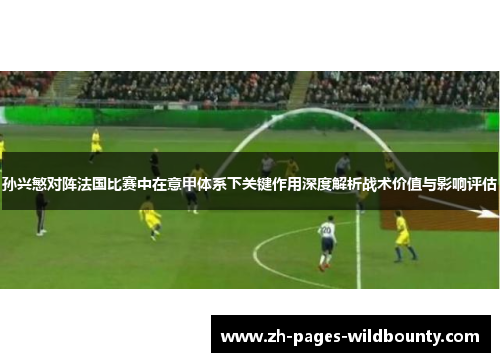 孙兴慜对阵法国比赛中在意甲体系下关键作用深度解析战术价值与影响评估